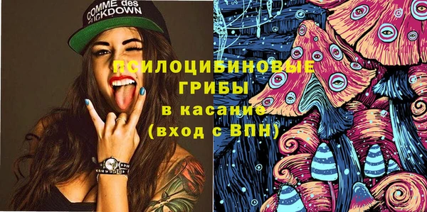 ешки Богородск