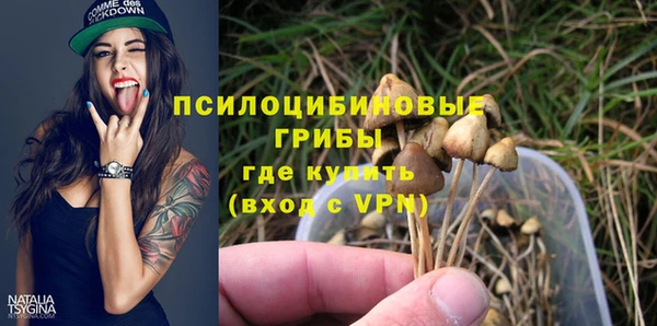 кристаллы Белокуриха