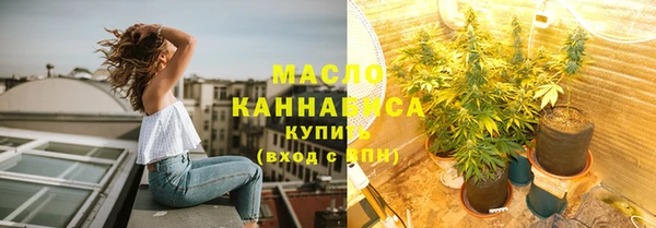 дживик Богородицк