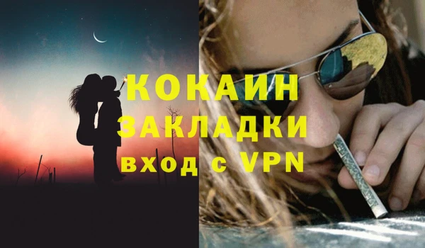дживик Богородицк