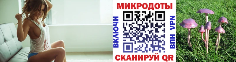 где купить наркотик  Белый  Псилоцибиновые грибы прущие грибы 